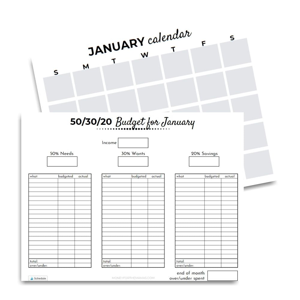 50/30/20 Budget Overview Template Printable, Monthly Budget